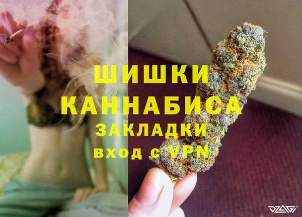 прущие грибы Михайловск