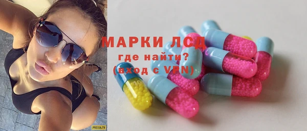 прущие грибы Михайловск