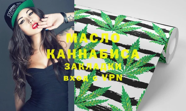 мдпв Михайлов