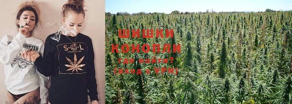 прущая мука Надым