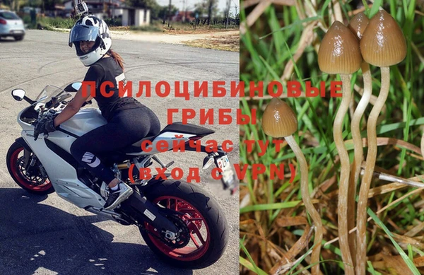 прущая мука Надым