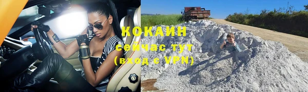 прущие грибы Михайловск