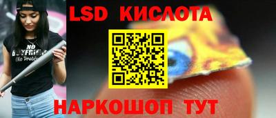 прущие грибы Кингисепп