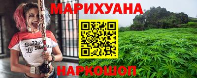 сатива Кимры