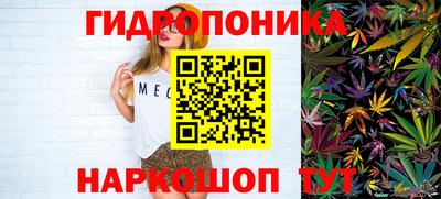 прущие грибы Кингисепп
