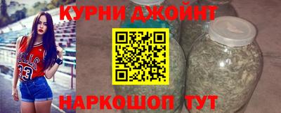 сатива Кимры