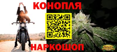 сатива Кимры