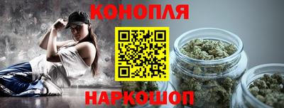 прущие грибы Кингисепп