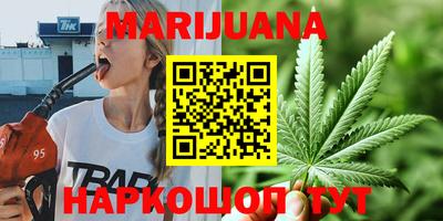 сатива Кимры