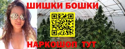 сатива Кимры