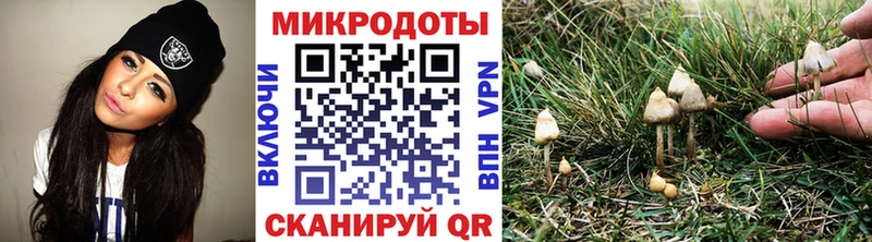 Галлюциногенные грибы мицелий Родники