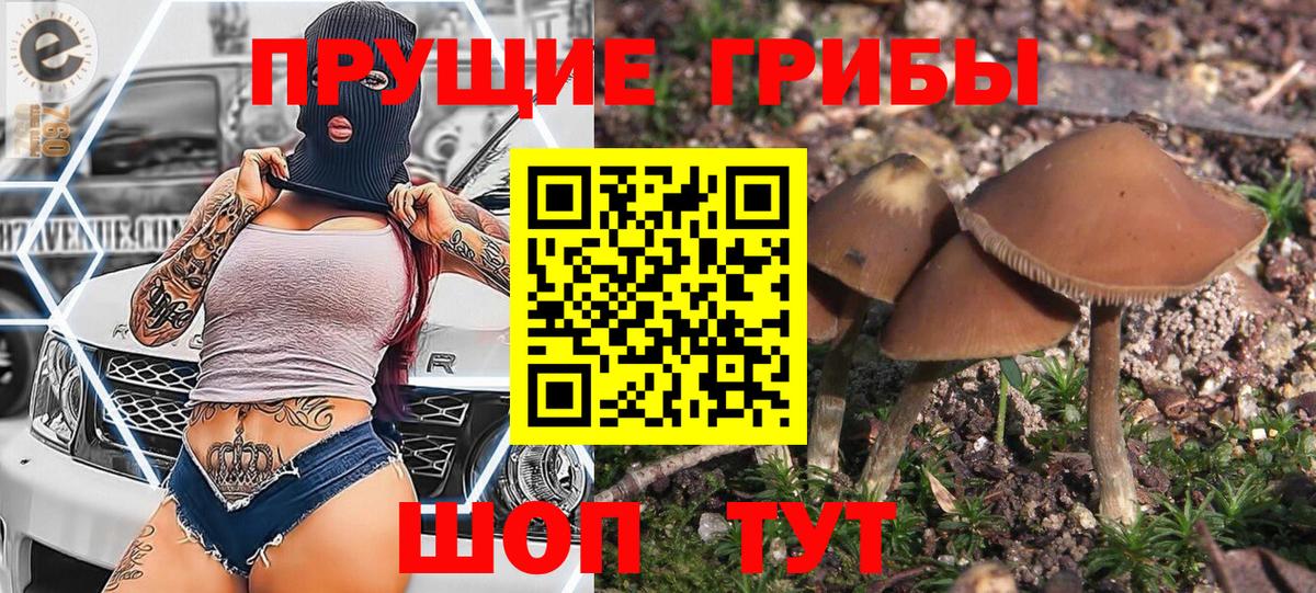 Псилоцибиновые грибы Magic Shrooms Родники