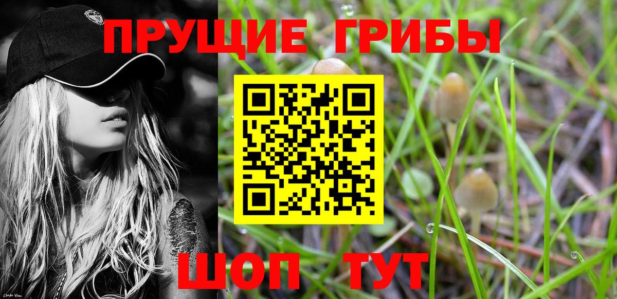 Родники  Галлюциногенные грибы мухоморы  Вход с VPN  Псилоцибиновые грибы мухоморы 